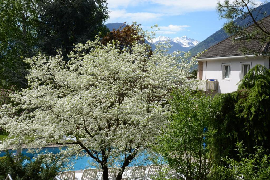 Hotel Tannerhof Μεράνο Εξωτερικό φωτογραφία